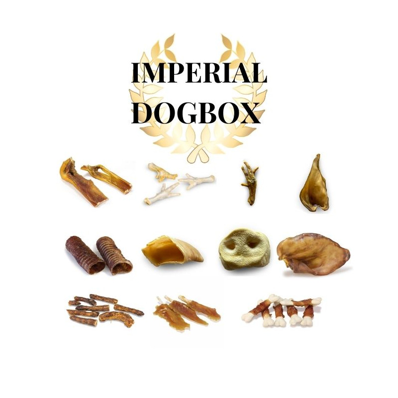 dogbox friandises chien moyen